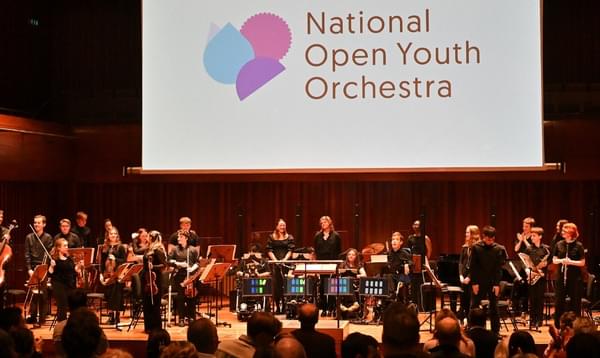 A live NOYO concert