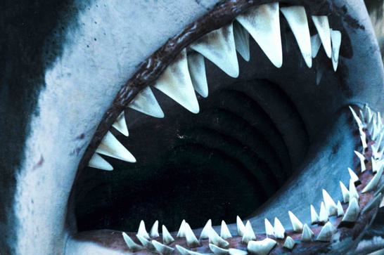 A giant shark lunges towards the camera, its mouth open wide to reveal lots of sharp teeth.