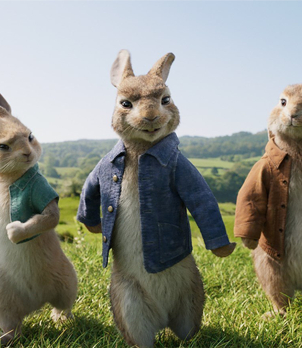 Five animated rabbits wearing different coloured jackets walk forwards on their back legs like humans, in a grassy and hilly landscape.