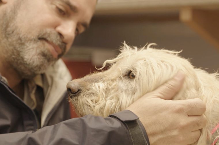 An older man with a grey beard strokes a white haired dog behind its ears.