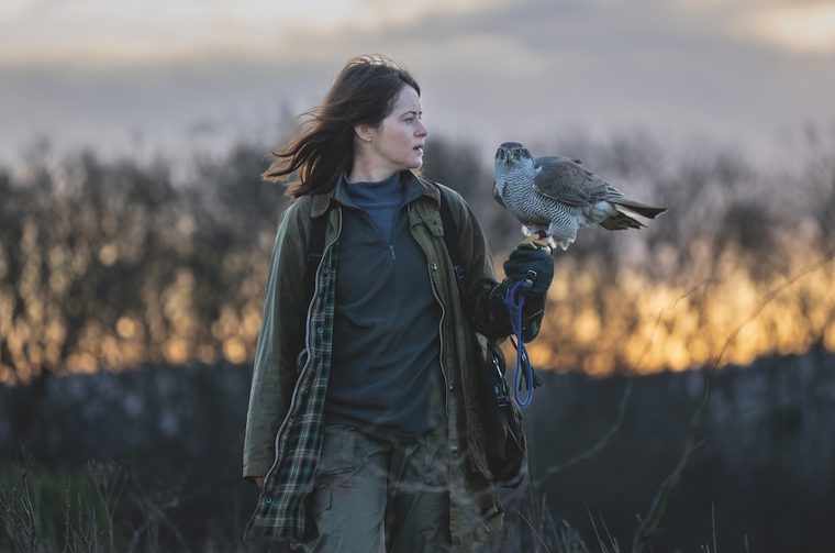 A photograph of a female falconer with their bird. The image shows a woman in outdoor clothing (an olive green jacket and blue layers) holding what appears to be a goshawk or similar raptor perched on her gloved hand. The bird has distinctive blue-grey plumage on its back and a barred pattern on its chest. The setting is atmospheric – captured during golden hour with soft, warm light illuminating dry grasses in the background while darker vegetation creates depth. The falconer's gaze is directed away from the camera, suggesting a moment of focus or contemplation, perhaps scanning the landscape or watching for prey.
