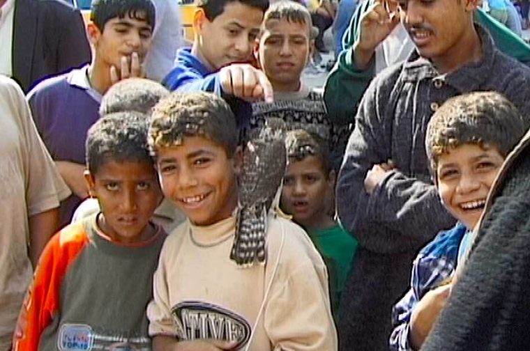 This is a joyful photograph showing a group of Palestinian children and young people gathered together, appearing to be in good spirits. In the front row, several younger boys are smiling at the camera, with one wearing a light-colored sweatshirt and another in a gray shirt. There is a grey bird sitting on the shoulder of the central child. Behind them stand older youths in casual clothing including hoodies and jackets.