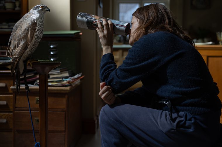 This is a striking image that captures an unusual and intimate moment. A woman is filming a bird of prey—which appears to be a hawk or similar raptor—perched on a stand indoors. The bird is positioned on what looks like a small table or perch, and she's getting quite close with what appears to be a video camera or camcorder. The woman's posture shows concentration and careful observation—she's maintaining a respectful distance while trying to capture footage, and the bird seems unbothered by her presence. The lighting and composition give the image a cinematic quality, almost like a still from a film.