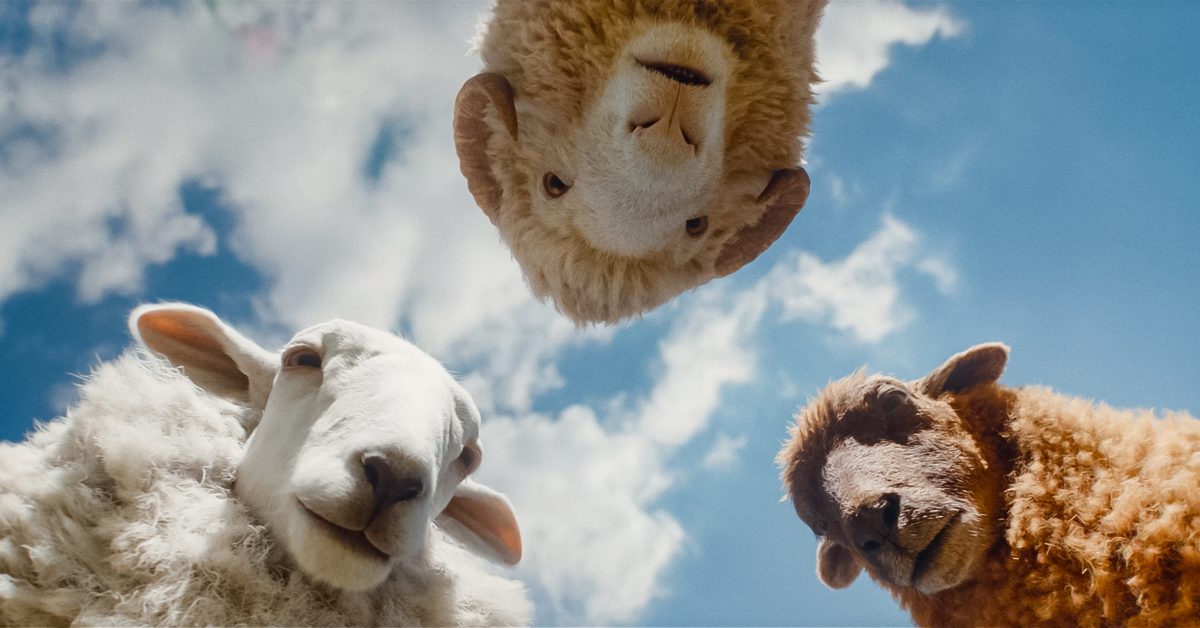 Pay What You Choose: The Sheep Detectives