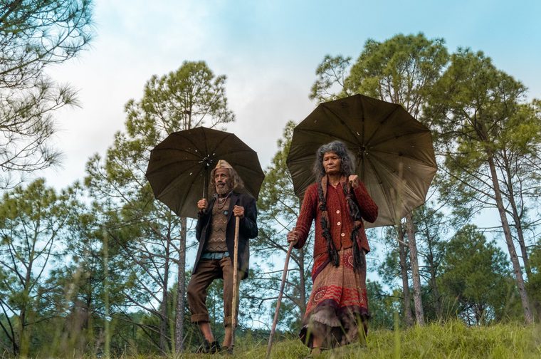 Two elderly Himalayan villagers - one male, one female walk down a grassy hill, both holding large umbrellas. They are both using large branches as walking sticks.