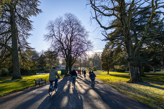 Group of people cycling through a park surrounded by lots of trees