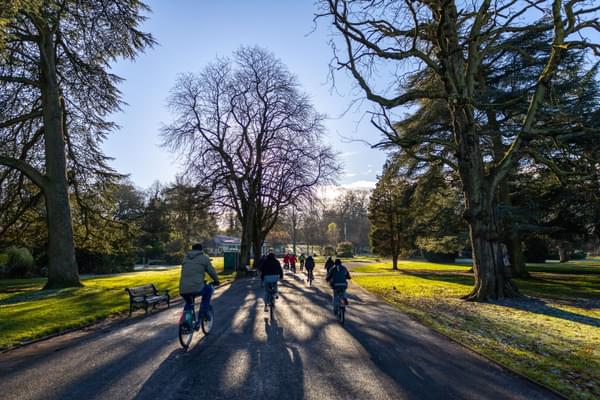 Group of people riding through park with trees and grass. Sunlight shining through trees.