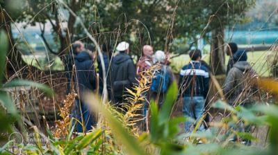 A group of men can be seen in the background, through a range of green and brown plants