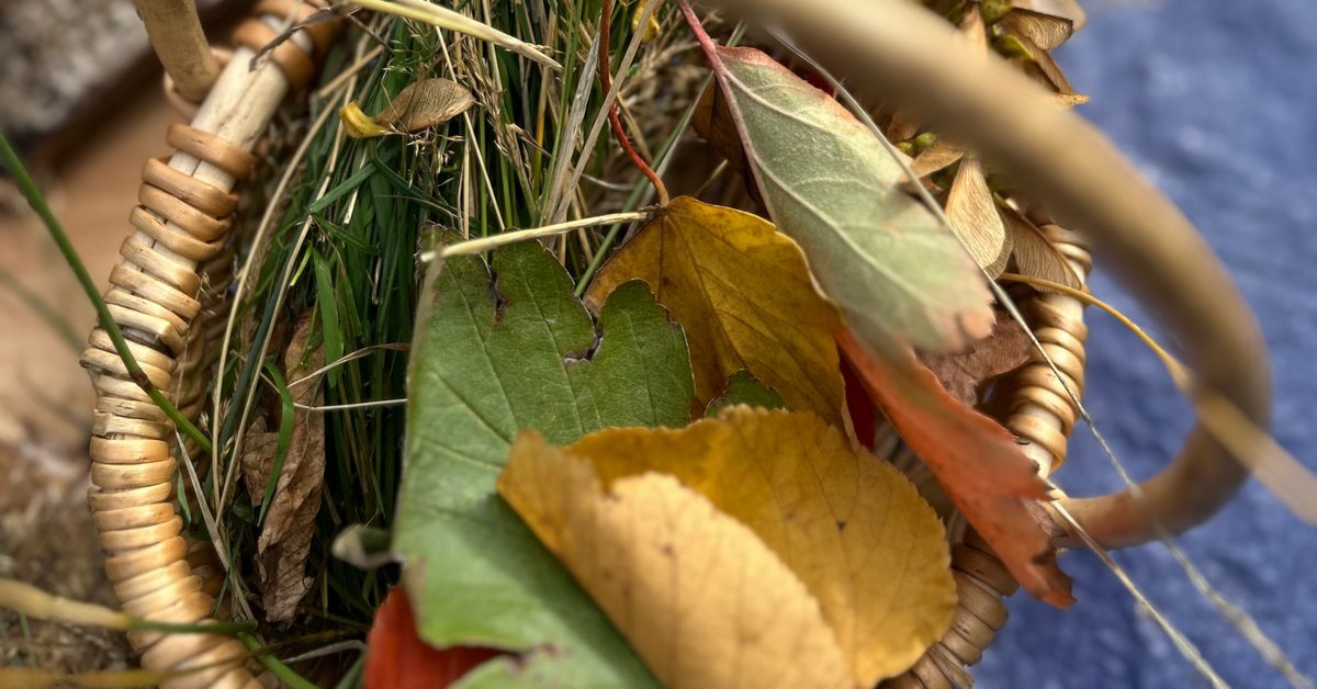 We Forest Folk: Sensory Nature Making