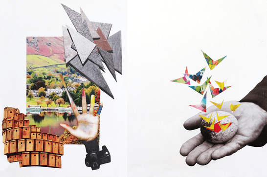 A collage of nature, architecture and abstract patterns