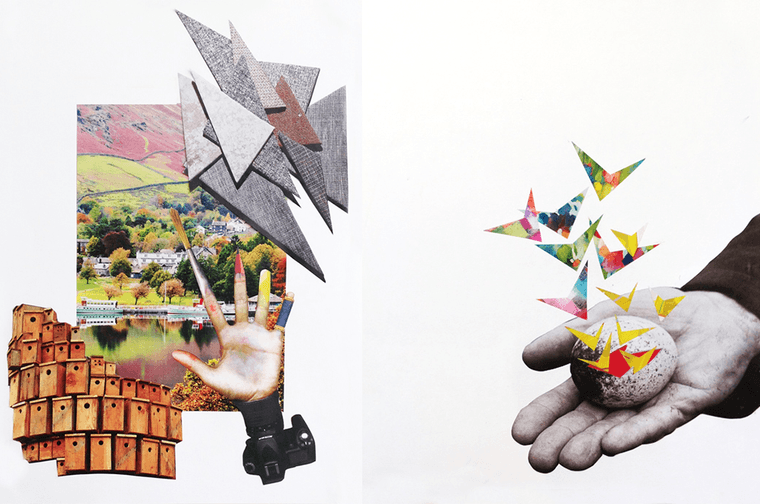 A collage of nature, architecture and abstract patterns