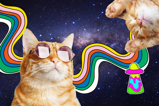 two ginger cats in space, with an alien space ship and bright coloured waves