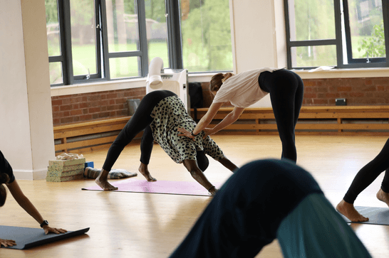 People in a yoga studio, holding the downward dog pose