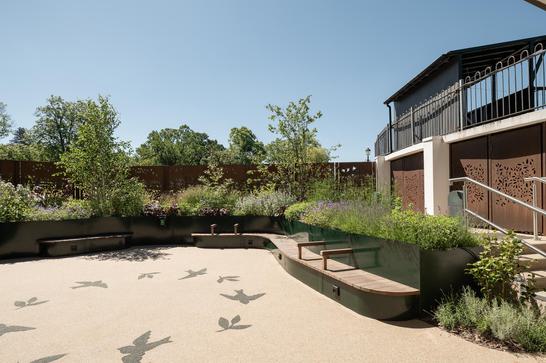 Garden on a sunny day with trees and plants