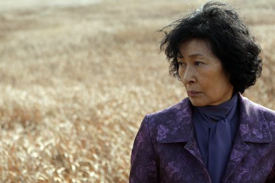 A Korean woman dressed in purple stands in a cornfield, looking off to the left.
