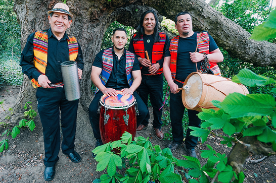 The band Kausary - 4 musicians holding various instruments including drums - stand in the woods in front of a big tree.