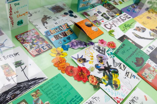 A display cabinet filled with handmade zines