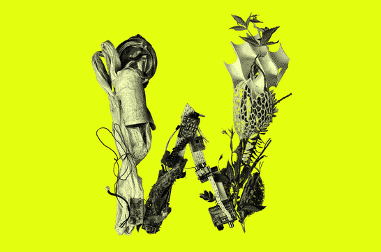 Black and white artwork of flora and fauna and miscellaneous junk such as wires making the shape of 'W' on bright yellow background