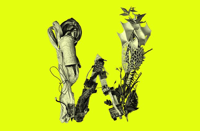 Bright green background, with a black and white W showing on top made from fauna and flora