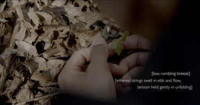 A Black masc boi carefully strokes tiny green shoots breaching the carpet of dead leaves.